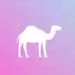 骆驼电视直播app 