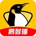 企鹅体育直播app 图标
