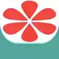 蜜柚官网app 图标