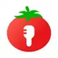 番茄语音app苹果版 图标
