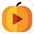 菠萝视频app无限制观看苹果