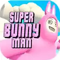超级兔子人手机版联机版本 图标