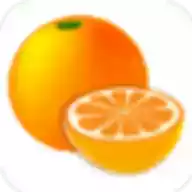 柑橘阅读破解版 图标