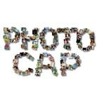 PhotoCap(数码相片批处理工具) v6.0 官方版