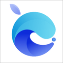 蓝莓体检 v0.0.54 安卓版 图标
