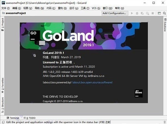GoLand 2019