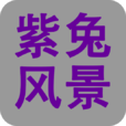 紫兔风景 v1.1.0 安卓版