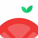 番茄空间 v1.0.0 安卓版 图标