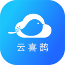 云喜鹊 v1.0.1 安卓版 图标