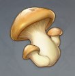 原神哪里蘑菇最多